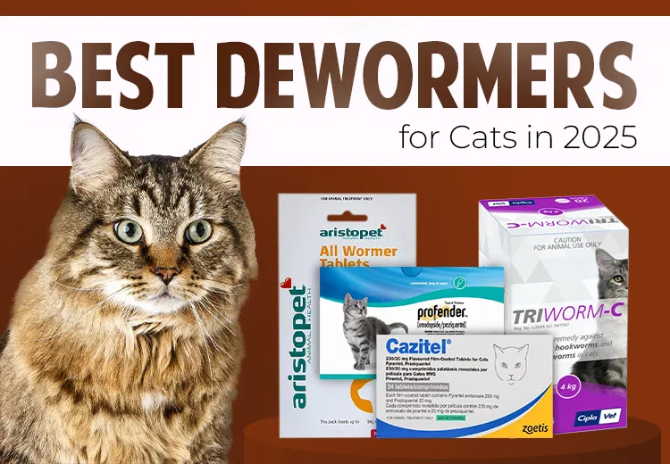 dewormer for cats